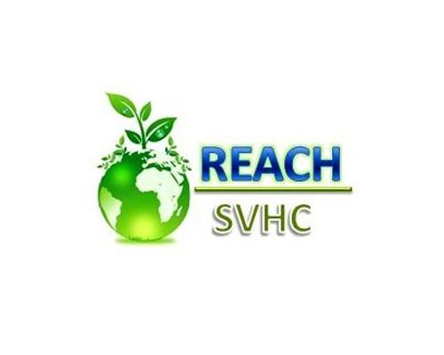 REACH高关注物质SVHC测试