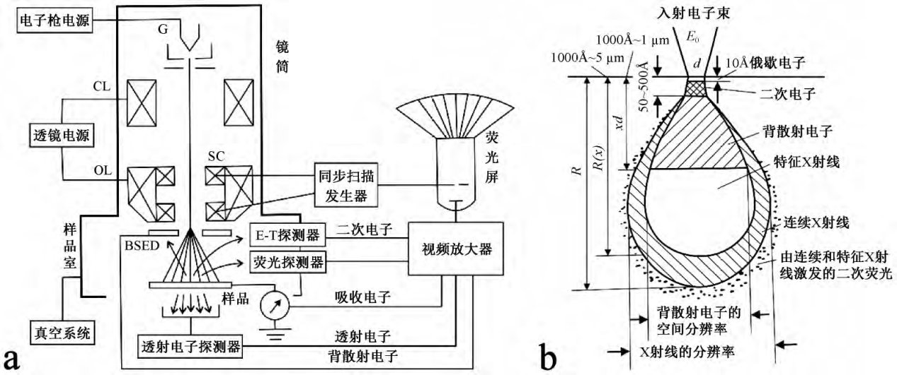 扫描电子显微镜原理图